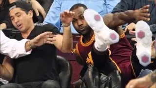 LeBron James careens into seats; Jason Day's wife stretchered off (VIDEO/PICS/DISCUSSION)