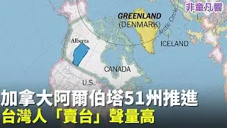 賣台集團出現，卻沒被肉搜譴責！川普要買格陵蘭，台灣也想賣給他？川普會買台灣嗎？加拿大總理卡尼寧可變成中國一省，也不肯變成美國第51州？｜2026.1.19【非童凡響】
