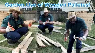 Recycling Wood Pallets into Raised Bed Walls! | DIY Backyard Garden