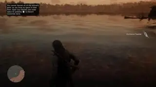 Red Dead Redemption 2 - Neotropic Cormorant Location
