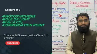 Class 11 Biology Chapter 6 | Photosynthesis | Role of Light | Role of CO₂  | PTB New syllabus 2025 