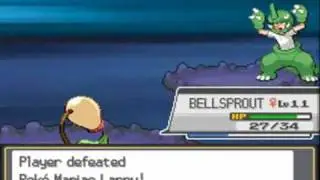 Pokemon Soul Silver Walkthrough 10 - Union Cave