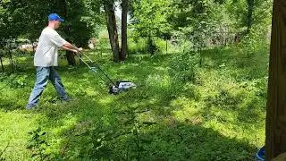 40 volt Hart mower still going strong.