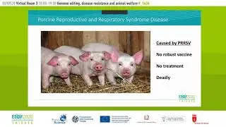 Genome editing, disease resistance and animal welfare