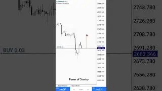 Quarterly theory time of entry and 🐢 soups
