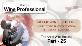 The Art of Wine Bottling | Cold Stabilization, Fining & Filtration Explained | Why Bottling Matters