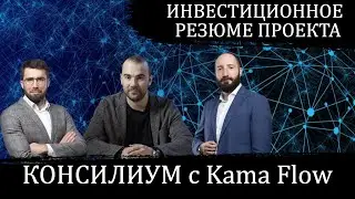 Консилиум с Kama Flow: инвестиционное резюме проекта