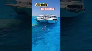 #ras_mohamed #sharm_elshiekh #diving #snorkeling #red_sea #viral #explore #boat