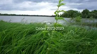 CODES 2022  | C&Oacute;DIGOS 2022 | КОДЫ 2022