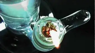 WMO Intro #2 (2012)