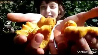 Чернышова Виктория