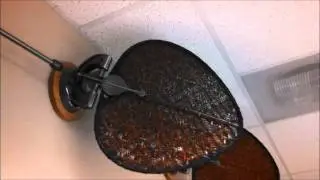 Fanimation Punkah Ceiling Fan