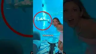 😳 СМОГУ ЛИ ПОТРОГАТЬ АКУЛУ?