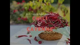Der Unterschied zwischen Cayennepfeffer und Chili in der Naturheilkunde