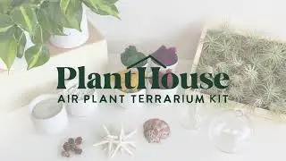 Air Plant Terrarium Kit - Instructional Video