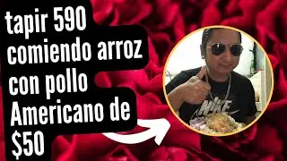 tapir590 - comiendo arroz con pollo americano de 50 dolares