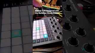 T-8 sequenced with Circuit Tracks