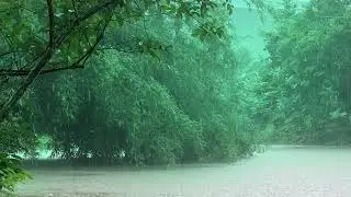 Light rain - Piano music helps sleep well