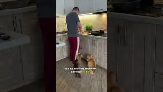 В нашем доме всегда будут животные🥹 шампунь для кошек и собак ВБ: 171350353