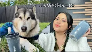 Paw Cleaner Grooming tool | Dexas MudBuster