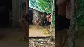 Pangabuhi sa uma #followers #highlights #viral #vlog