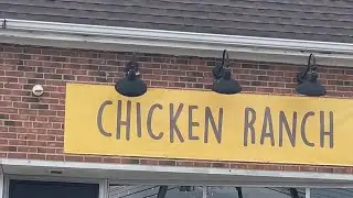 #Share #Like #Comment #Short #YouTubeShort #ChickenRanch #SlapCity