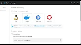API Management and Flex Gateway in Connected Mode
