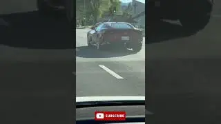 Tesla Model 3 vs Ferrari. Which one will you choose? #yesla #teslamodel3 #ev #electriccar #ferrari