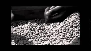 Orbit FM Music: Queensbury Rules Coffee Song