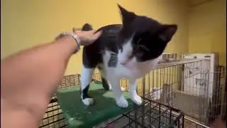 Juanita