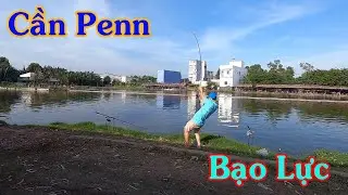 Test Cần Penn Piscifun K&eacute;o C&aacute; Khủng Hồ Ho&agrave;ng Hải
