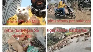 White Billi Se Mila.   Pittu ko scooty per baitha Diya 😱#subscribe #like #mychannel
