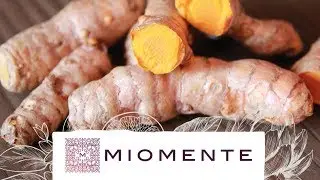 Vergessenes Gem&uuml;se: Kurkuma oder auch der gelbe Ingwer | Miomente