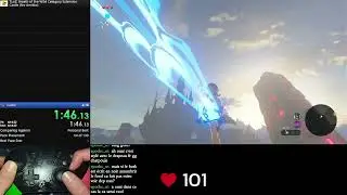 Handcam ~ Speedrun Castle No amiibo (3aa Route)