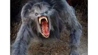 ...CG wolf test...