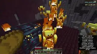 2x z rzędu stronghold 1x sub 12 blind i foodless nether