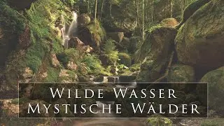 LANDSCHAFTSFOTOGRAFIE | Wilde Wasser stille Wälder