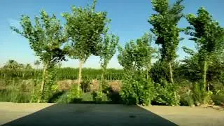 يوم وسط ولاد بلدي.. إفتتاح ثلاث مقرات لحزب الشعب الجمهوري ببني سويف. وبكرة لسه مكملين.