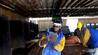 CDA 0213 Class video