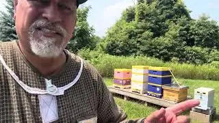 Brian and Kiele in the Apple Orchard Bee Yard 
