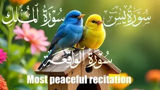 HEART-TOUCHING Recitation | Surah Yaseen, Mulk & Waqiah | EP. 42 | Zeeshan Ashraf as-Indian 