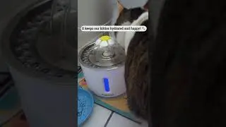 Cat Water Fountain 😻 Cats Drinking Water for the First Time | Funny Cat Reaction