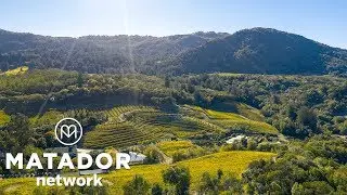 Explore Sonoma County On a Bike Ride Through the Vineyards