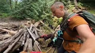 Dog Pack Log Jam Thursday with Portland&rsquo;s Wild Pups on Adventure!