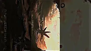 Infinity War Beauty | #shorts #marvel #edit #viral