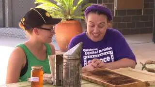 Science Time Visits a Bee Hive