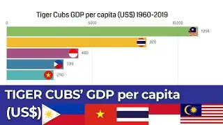 Tiger Cub Economies GDP per capita