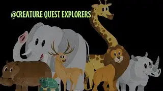 DISCOVER THE DIFFERENCE BETWEEN THE CHEETAH AND THE LEOPARD | KIDS VIDEO |@CreatureQuestExplorers