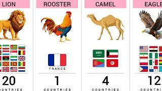 How Many Countries Have the Same National Animal