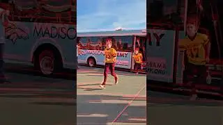 Mustang Champion Walk